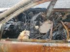 2006 Bmw 330 Xi for Sale in Duryea, PA - Burn