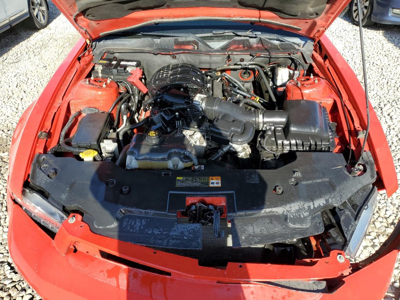 2012 Ford Mustang VIN: 1ZVBP8AM8C5224058 Lot: 59056655