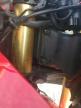 2022 Honda Cbr600 Rr for Sale in Riverview, FL - Side