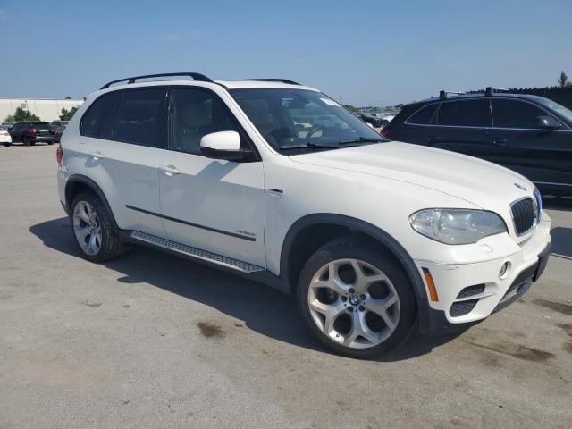 Parquets BMW X5 2012 Biały