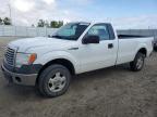 2009 FORD F150  à vendre chez Copart AB - EDMONTON