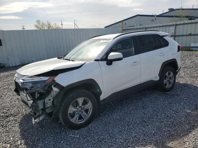  TOYOTA RAV4 2024 Белы