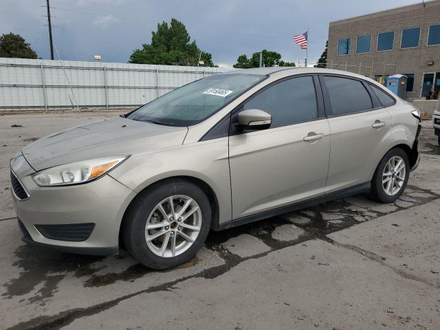  FORD FOCUS 2015 Колір засмаги