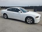 2014 Dodge Charger Se იყიდება Orlando-ში, FL - Minor Dent/Scratches