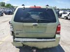 2008 Ford Escape Xlt for Sale in Bridgeton, MO - Rear End