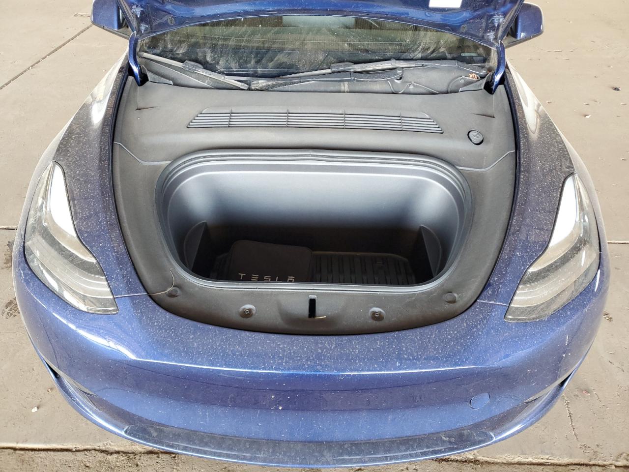 2023 Tesla Model Y VIN: 7SAYGDEEXPA113329 Lot: 56982025