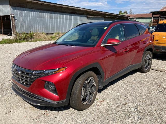 2023 HYUNDAI TUCSON LUXURY à vendre chez Copart AB - CALGARY