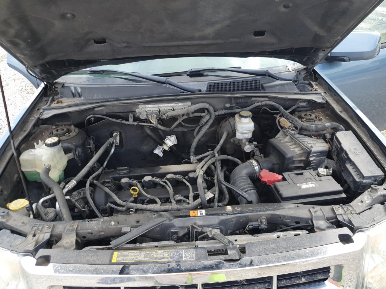 2011 Ford Escape Limited VIN: 1FMCU0E77BKC61667 Lot: 56493325