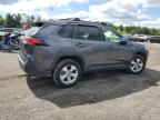 2020 Toyota Rav4 Le de vânzare în Finksburg, MD - Minor Dent/Scratches
