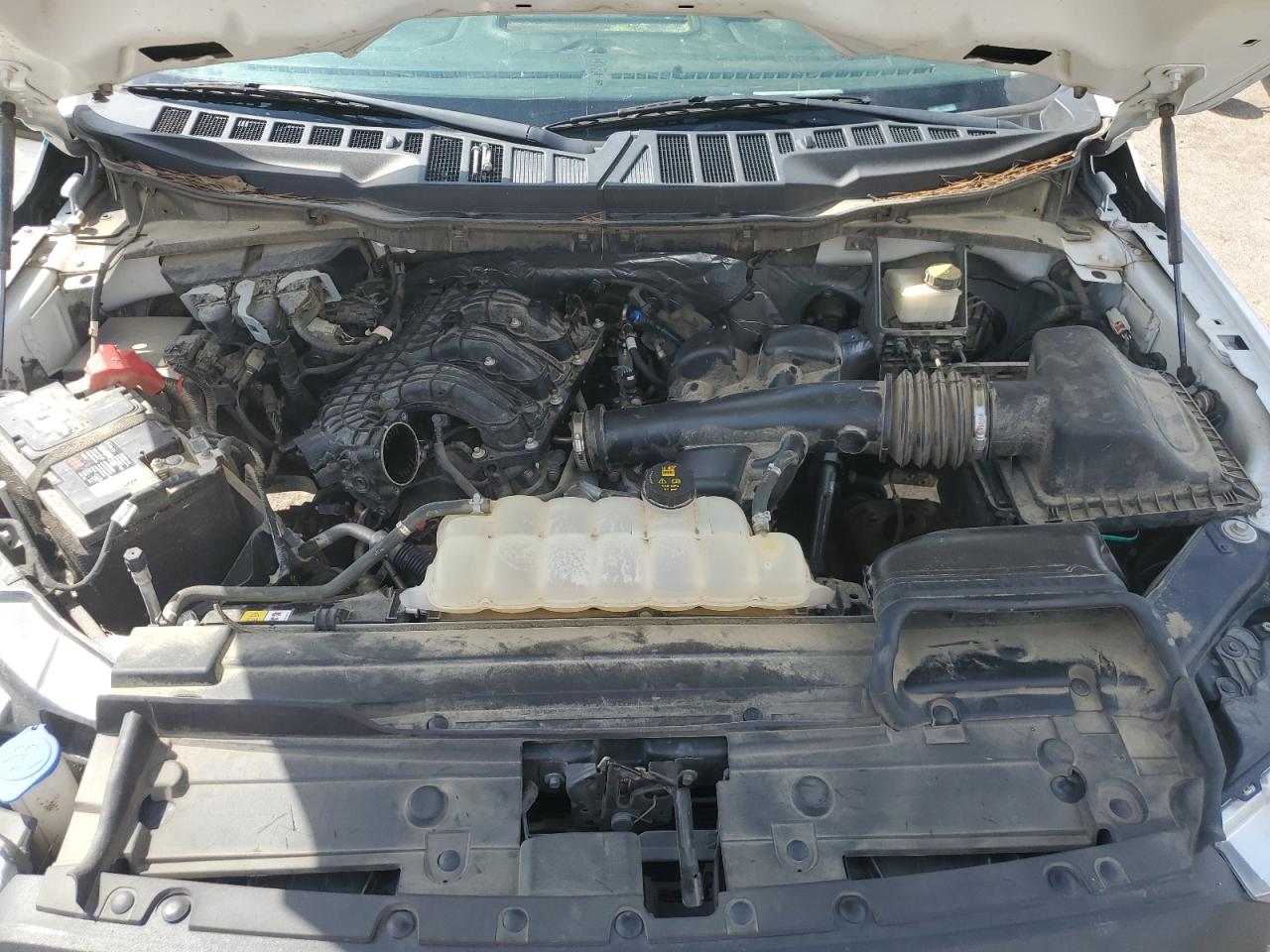 2022 Ford F150 VIN: 1FTMF1CB1NKD72560 Lot: 55298665