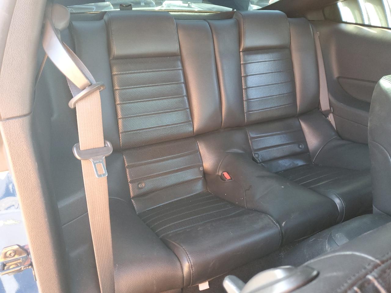 2009 Ford Mustang Gt VIN: 1ZVHT82H695146783 Lot: 56411175