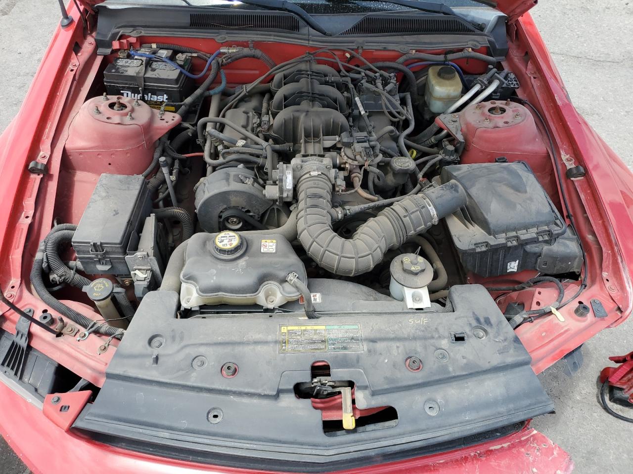 2005 Ford Mustang VIN: 1ZVFT80N355166192 Lot: 64968905