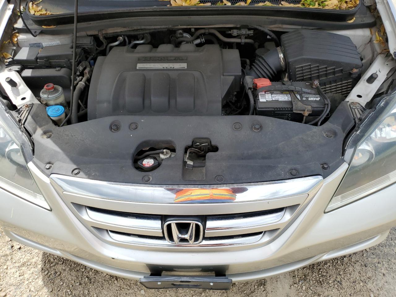 2006 Honda Odyssey Exl VIN: 5FNRL38736B419844 Lot: 57364065