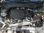 2025 Kia Sorento Ex en Venta en Moncton, NB - Biohazard/Chemical