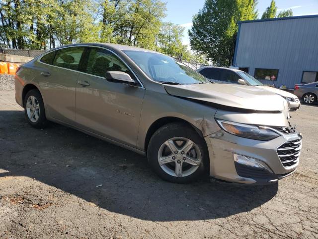  CHEVROLET MALIBU 2023 Beige