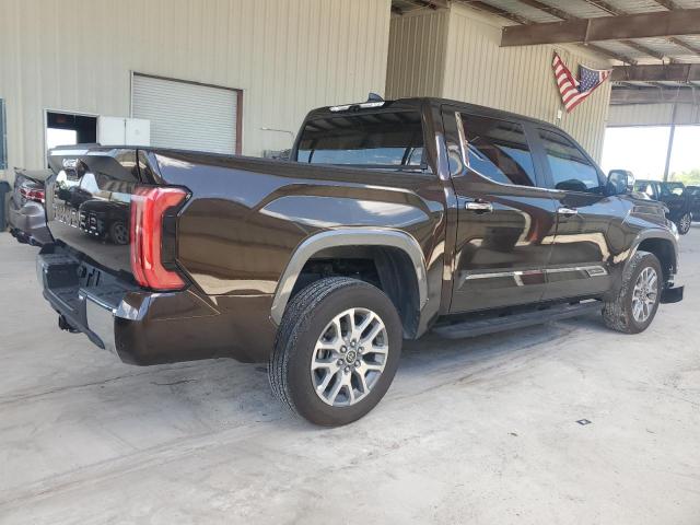  TOYOTA TUNDRA 2024 Brown