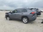 2021 Toyota Rav4 Xle   for Sale in Wayland, MI - Front End