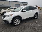 2014 Honda Cr-V Exl for Sale in Earlington, KY - Hail