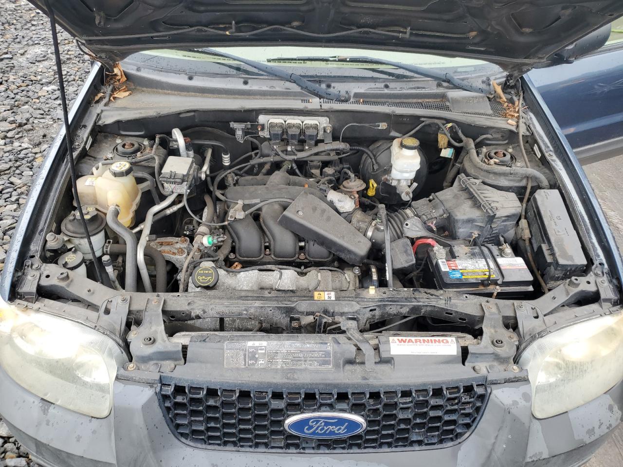 2005 Ford Escape Xlt VIN: 1FMYU93165KC43691 Lot: 56057625