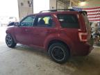 2009 Ford Escape Xlt de vânzare în Columbia, MO - Front End
