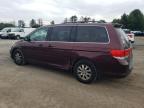 2008 Honda Odyssey Exl للبيع في Finksburg، MD - Front End