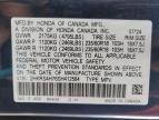 2025 Honda Cr-V Exl for Sale in Greenwood, NE - Hail