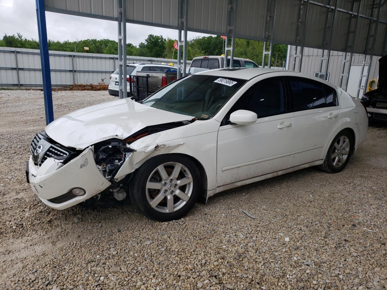 2004 Nissan Maxima Se de vânzare în Rogersville, MO - Front End