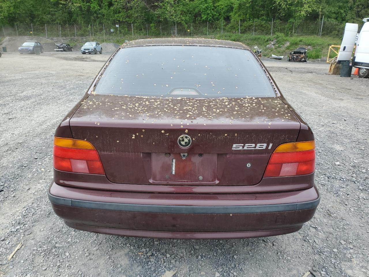 1998 BMW 528 I Automatic VIN: WBADD6329WBW36965 Lot: 56748755