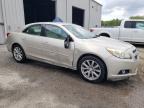 2013 Chevrolet Malibu 2Lt на продаже в Jacksonville, FL - Side