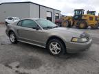 2002 Ford Mustang  for Sale in Harleyville, SC - All Over