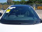 2024 TOYOTA C-HR DESIG for sale at Copart COLCHESTER