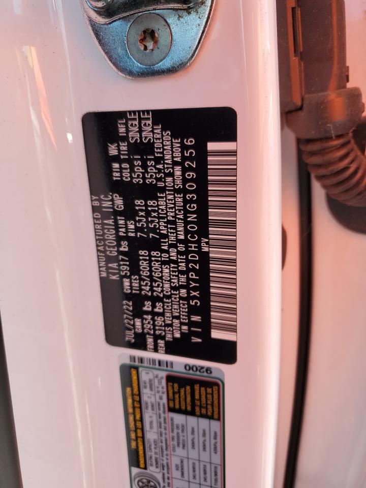 2022 Kia Telluride Lx VIN: 5XYP2DHC0NG309256 Lot: 57092545