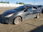 2011 HYUNDAI SONATA SE   à vendre chez Copart AB - EDMONTON