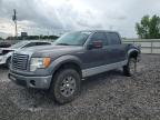 2011 Ford F150 Supercrew за продажба в Hueytown, AL - Rear End