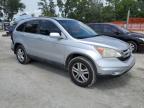2010 Honda Cr-V Exl   zu verkaufen in Ocala, FL - Rear End
