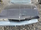 1986 Chevrolet Monte Carlo  for Sale in Apopka, FL - Front End