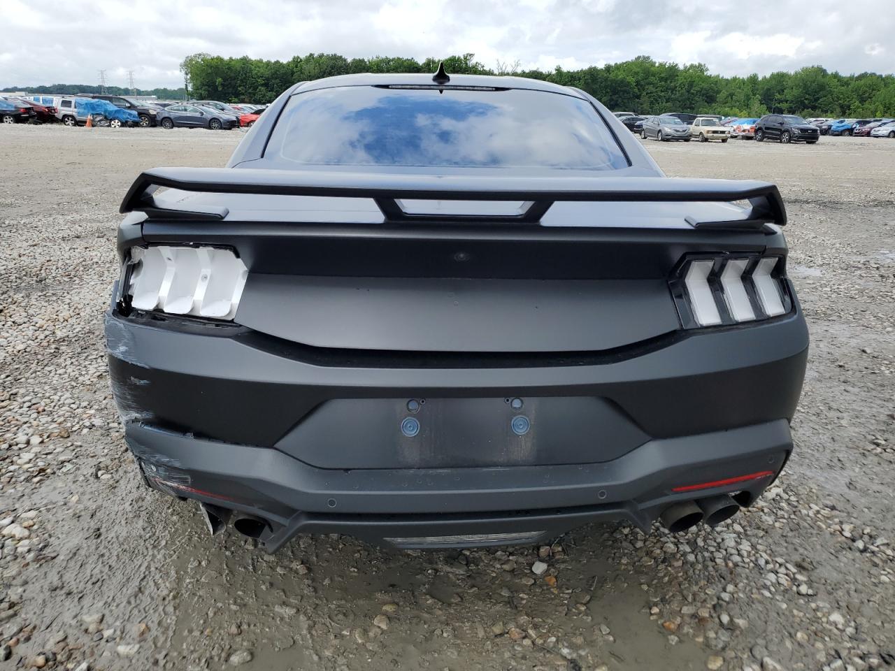 2024 Ford Mustang Gt VIN: 1FA6P8CF8R5433396 Lot: 56914335
