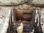 2015 Bandit 1390 Wood Chipper en Venta en Sacramento, CA - All Over