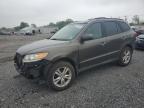 2012 Hyundai Santa Fe Limited for Sale in Hillsborough, NJ - Rear End