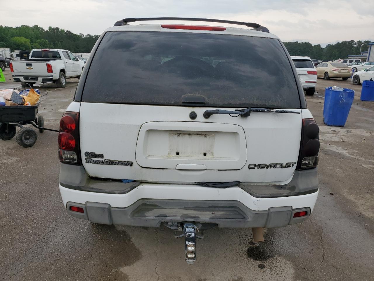 2004 Chevrolet Trailblazer Ls VIN: 1GNDT13S542228203 Lot: 55881835