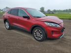 2022 Ford Escape Se   for Sale in Columbia Station, OH - Front End