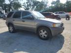2001 Ford Escape Xlt for Sale in Ocala, FL - Side