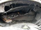 2018 Kia Sportage Ex იყიდება Chalfont-ში, PA - Burn