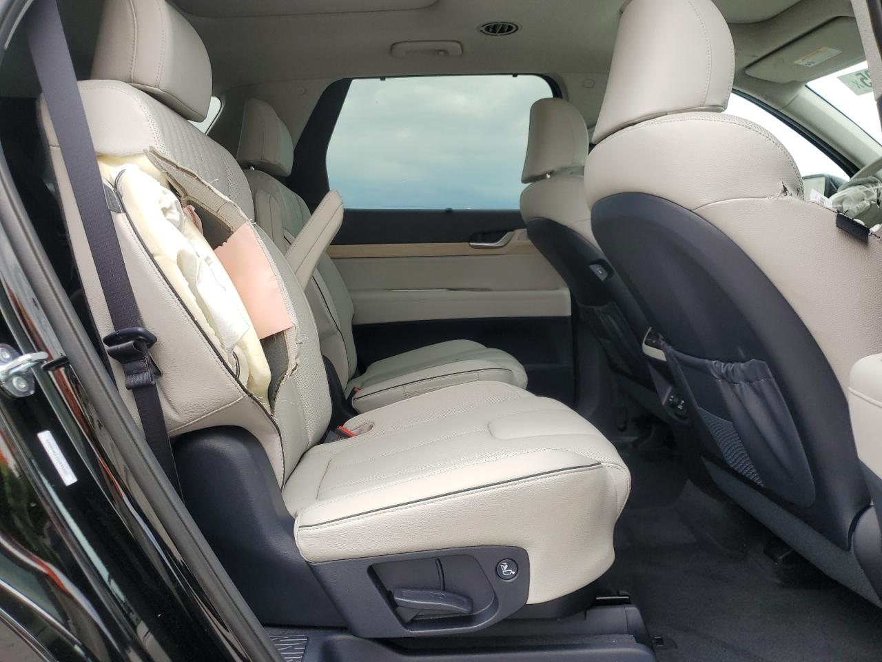 2025 Hyundai Palisade Limited VIN: KM8R54GE1SU895605 Lot: 56933795