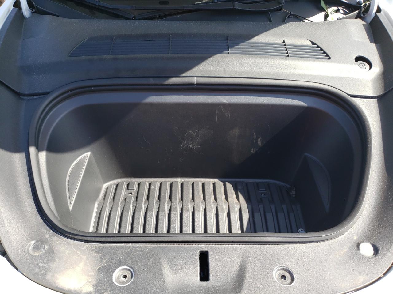 2023 Tesla Model Y VIN: 7SAYGDEF5PF779817 Lot: 56094645