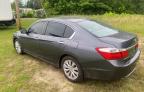 2013 Honda Accord Exl იყიდება Grenada-ში, MS - Minor Dent/Scratches