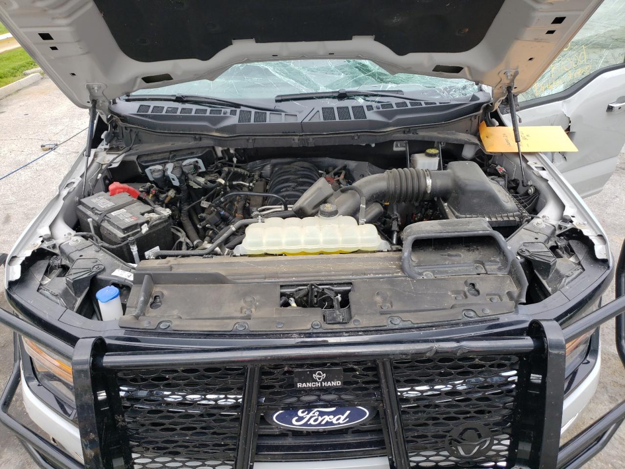 2024 Ford F150 Xlt VIN: 1FTFW3L5XRKD65160 Lot: 56354735