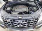 2013 Mercedes-Benz Ml 350 for Sale in Jacksonville, FL - Rear End