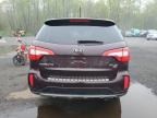 2014 KIA SORENTO SX à vendre chez Copart CT - HARTFORD SPRINGFIELD