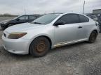 2007 Toyota Scion Tc  na sprzedaż w Ottawa, ON - Front End